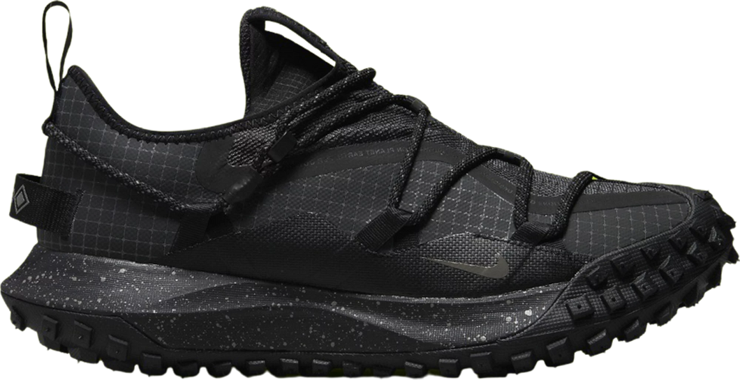 Nike ACG Mountain Fly Low GTX SE 'Dark Smoke Grey'